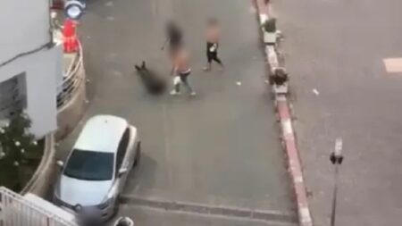 مطالب تشديد العقوبات على حمل السلاح الأبيض واستخدامه في الجرائم مطالب تشديد العقوبات على حمل السلاح الأبيض واستخدامه في الجرائم