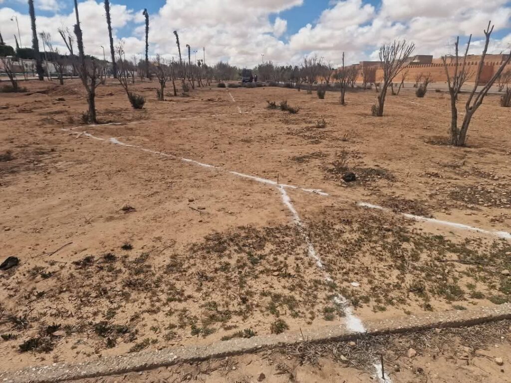 انطلاق أشغال تهيئة مغرسة الزيتون بمدينة تيزنيت بكلفة تتجاوز 27 مليون درهم 4 WhatsApp Image 2025 04 24 at 10.38.42