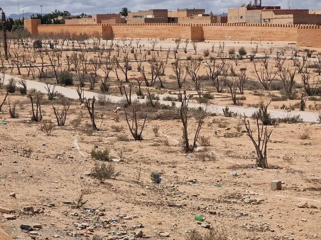 انطلاق أشغال تهيئة مغرسة الزيتون بمدينة تيزنيت بكلفة تتجاوز 27 مليون درهم 7 WhatsApp Image 2025 04 24 at 10.38.44