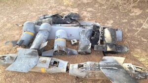 تصعيد عسكري بين الجزائر ومالي يفاقم التوتر في منطقة الساحل 10 mali