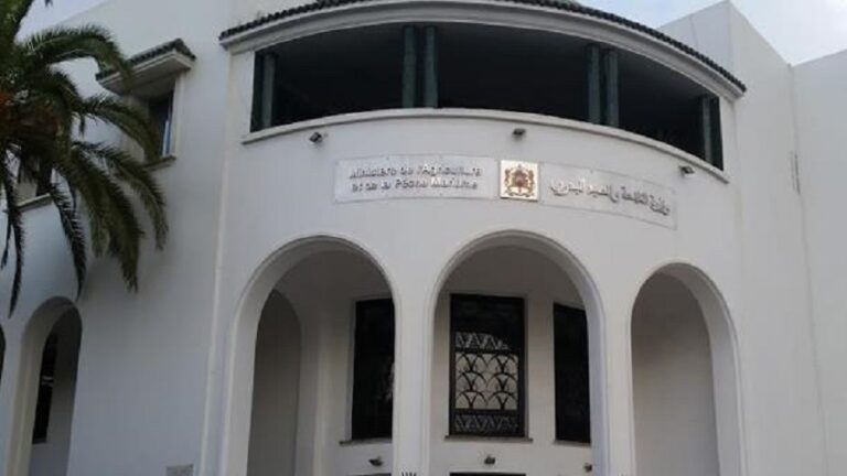 التحركات الجديدة لـ “لوبي” المواشي تربك الأسواق، وسط دعوات إلى تدخل وزارة الفلاحة