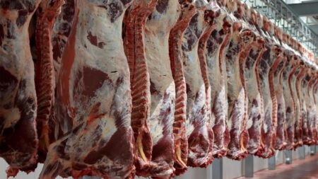 جدل استيراد اللحوم يشعل غضب المستوردين، وسط استعدادات لعقد اجتماع حاسم جدل استيراد اللحوم يشعل غضب المستوردين، وسط استعدادات لعقد اجتماع حاسم