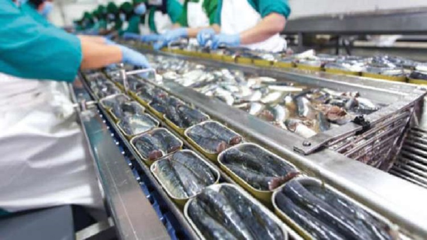 Conserve poisson peche