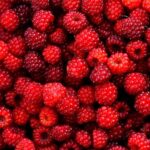 المكتب الوطني للمطارات يعيّن عزيز بنجلون على رأس القطب التسويقي والتجاري في إطار رؤية “مطارات المغرب 2030”