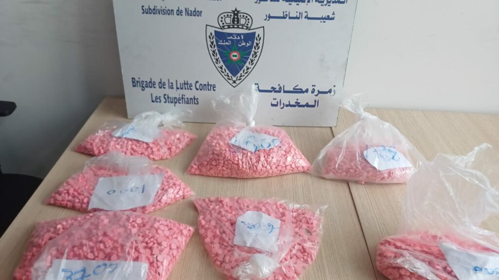 إحباط تهريب أزيد من 13 ألف قرص “إكستازي” بميناء الناظور وإيقاف سائق شاحنة قادمة من أوروبا