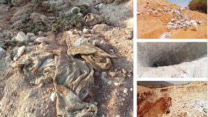 تزنيت: ضحايا الدجاج النافق ينتفضون ضد استمرار الخطر البيئي والصحي، ويلوحون بالاحتجاج 6 IMG 778