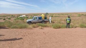 بعد زاكورة.. أسراب الجراد تصل إقليم الحوز وتهدد المحاصيل الزراعية 8 IMG 96645