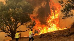 Incendies de foret
