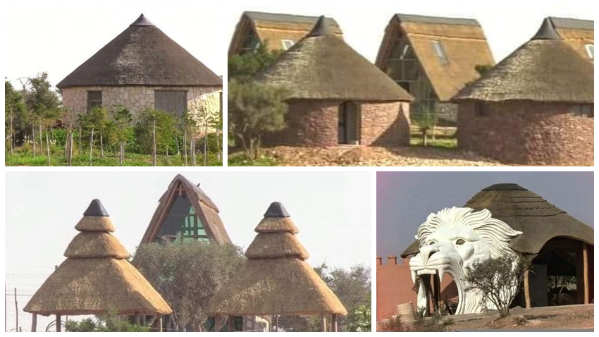 Le plus grand parc aux lions du Maroc et dAfrique du Nord