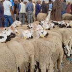 حريق مهول يلتهم مقهى راقيا بأكادير أياما بعد افتتاحه