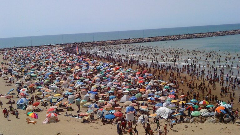 حماة المستهلك يعلنون الحرب على فوضى “الباراسولات” في الشواطئ