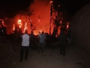 حريق مهول يلتهم واحة "امغي أكاير الهنا" بطاطا يهدد التنوع البيولوجي 12 IMG 20250603 WA0001