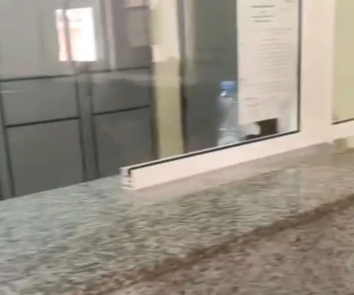 فيديو يكشف معاناة المواطنين مع "جحيم" الإدارة بجماعة الصفا: طوابير لا تنتهي ونقص حاد في الموظفين
