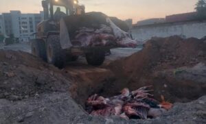 حجز أزيد من 3 أطنان من اللحوم الحمراء غير الصالحة للاستهلاك 28 Plus de 3 tonnes de viande rouge saisies
