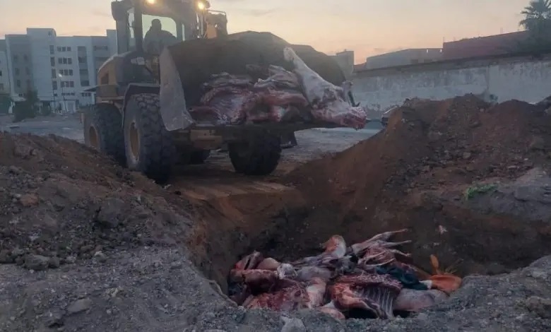 Plus de 3 tonnes de viande rouge saisies