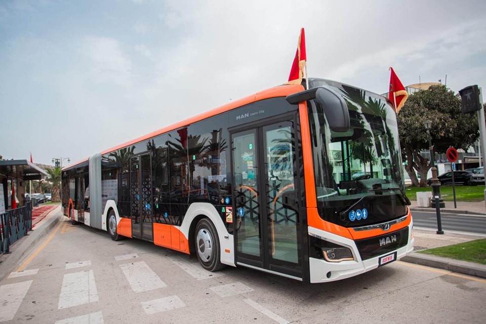 autobuses modernos