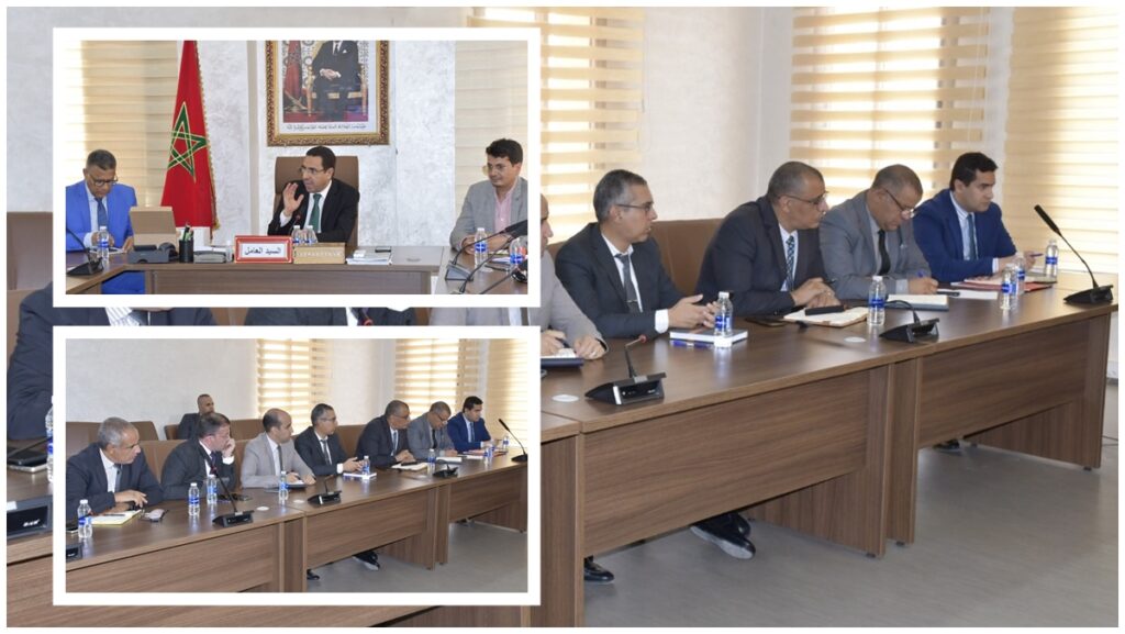 عامل إقليم طاطا يعطي الانطلاقة لتنفيذ البرنامج الوطني لإعادة تكوين القطيع الوطني للماشية