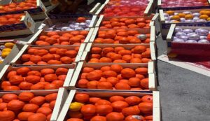 IMG 20250727 WA0141 1