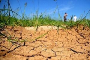 موجة حر تضرب الفلاحة المغربية: محاصيل مهددة واستنزاف متزايد للمياه