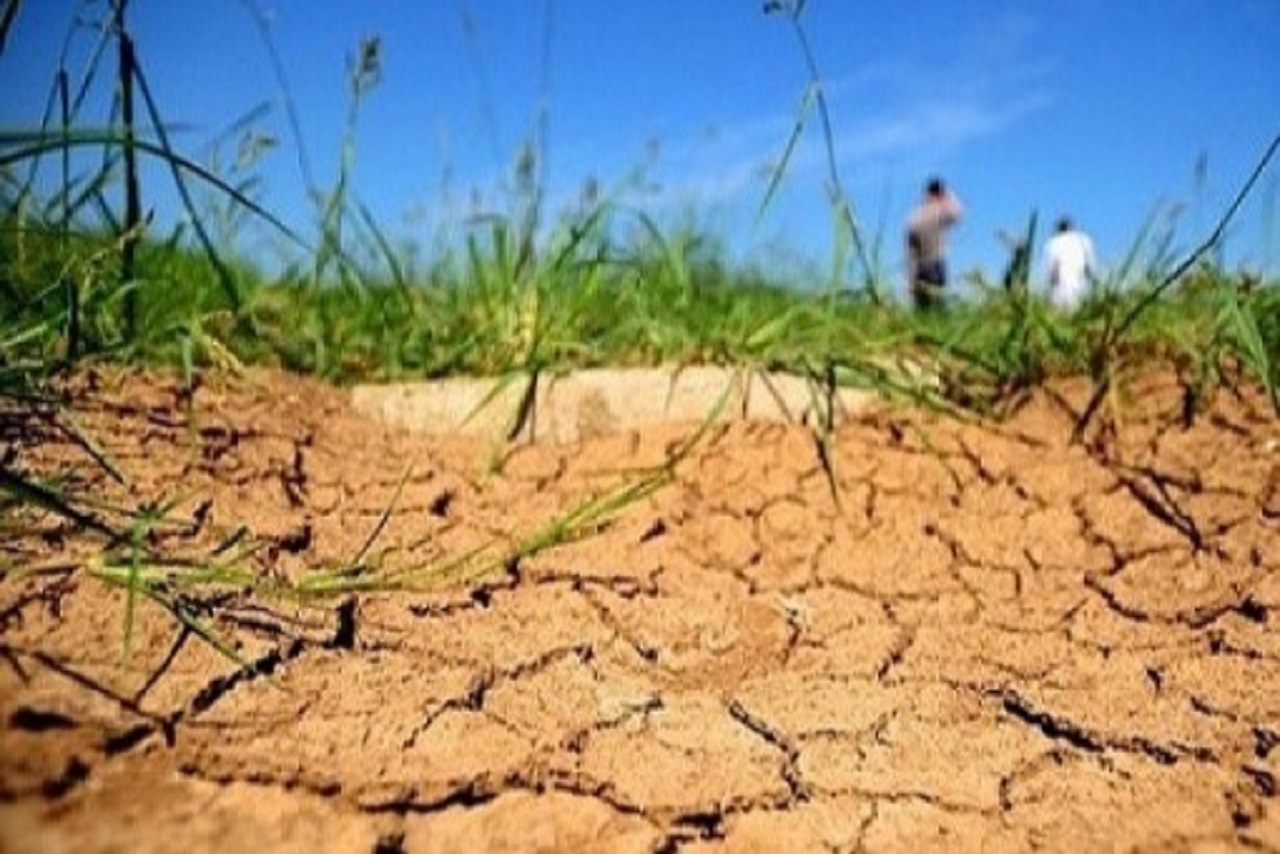 موجة حر تضرب الفلاحة المغربية: محاصيل مهددة واستنزاف متزايد للمياه