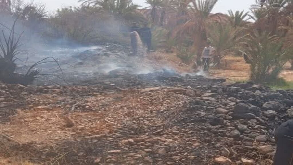 السيطرة على حريق شبّ داخل واحة “إيمينم” بقيادة أديس إقليم طاطا