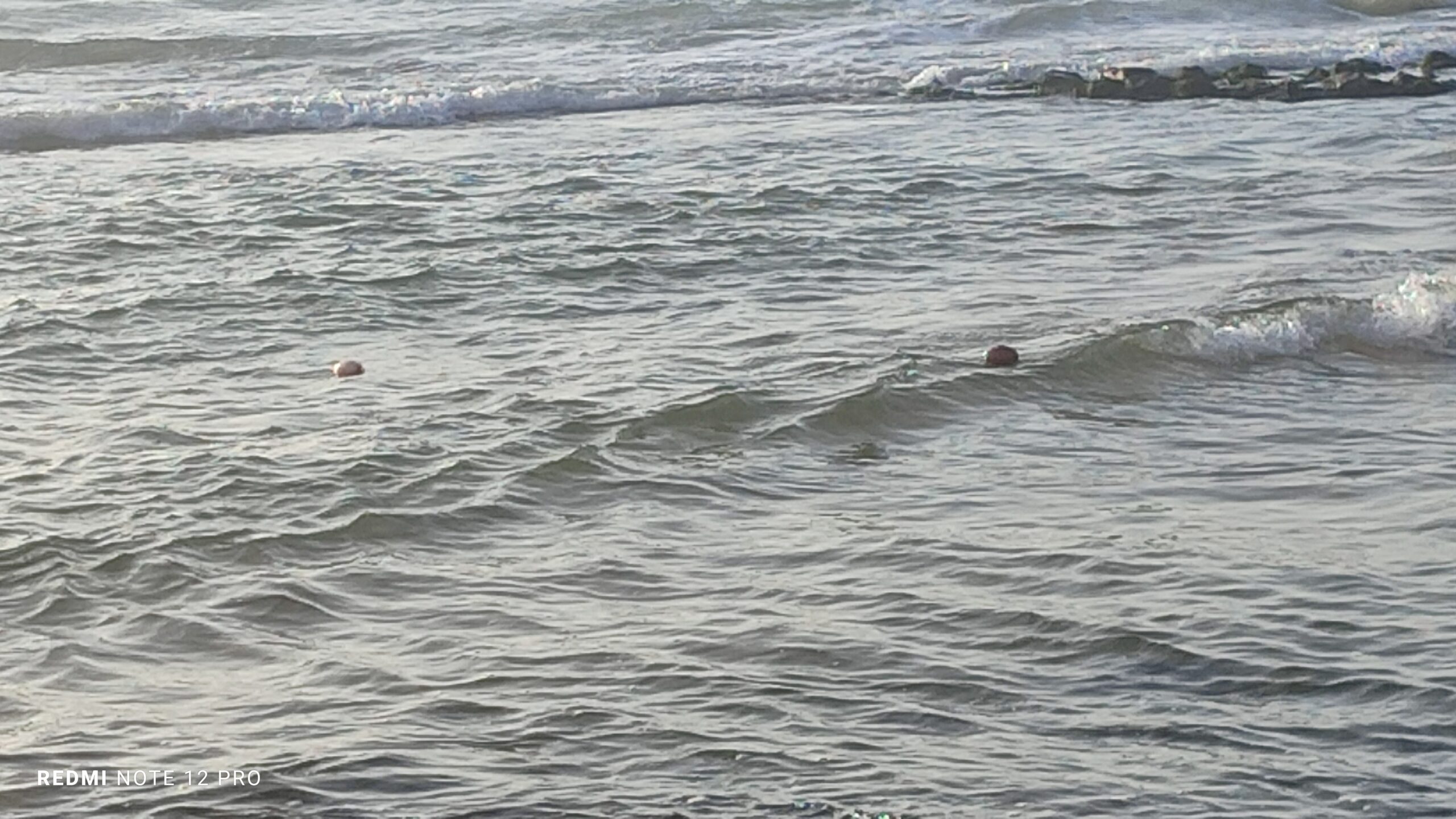 تثبيت شباك صيد ممنوعة على طول شواطئ سيدي إفني والمسؤولون في سبات عميق