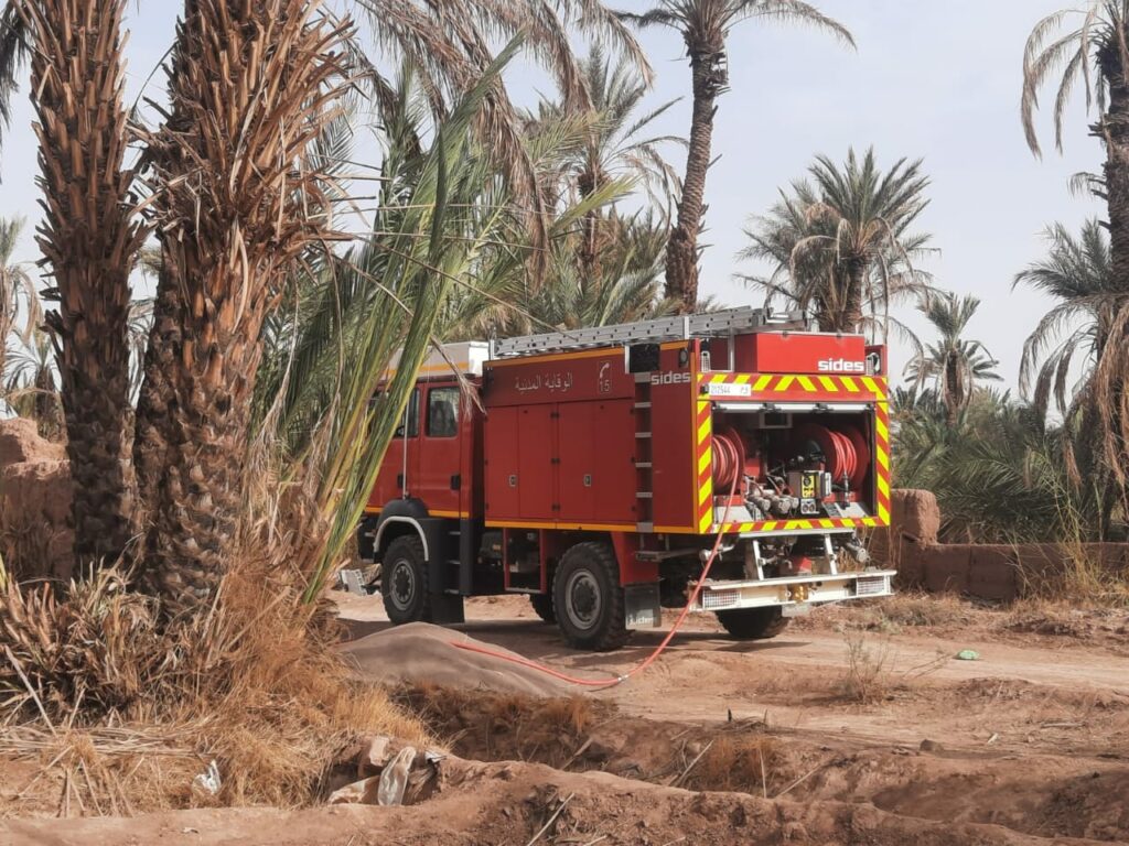 Un incendie ravage une oasis de palmiers 8
