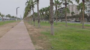 مدخل أكادير عبر إنزكان.. جفاف العشب وغياب الوعي يسيئان لصورة المدينة