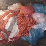 أخنوش يؤكد: الذكاء الاصطناعي رافعة استراتيجية لتحول المغرب نحو اقتصاد المستقبل