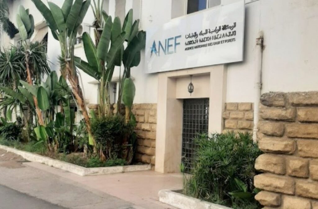 وكالة المياه والغابات تحذر من اندلاع حرائق الغابات ما بين 17 و20 غشت