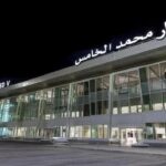 تزنيت: مزارع “أملال” في مواجهة غزو الجراد، وتعبئة عاجلة لاحتواء الخطر