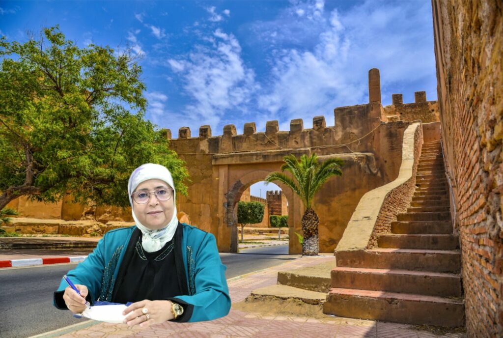 سور تارودانت: ترميم وإعادة إحياء لجوهرة تاريخية عريقة