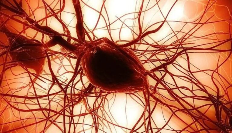 إنجاز وطني: مؤسسة محمد السادس تعيد برمجة خلايا دم إلى خلايا جذعية مستحثة متعددة القدرات