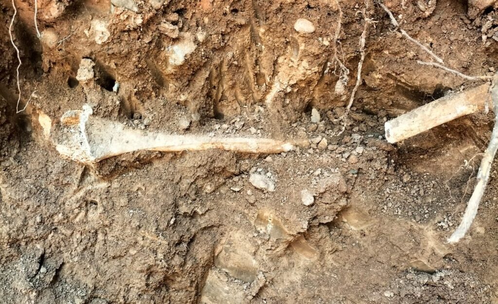 العثور على رفات بشرية داخل فندق بمراكش يُفجر حالة استنفار أمني بمنطقة النخيل