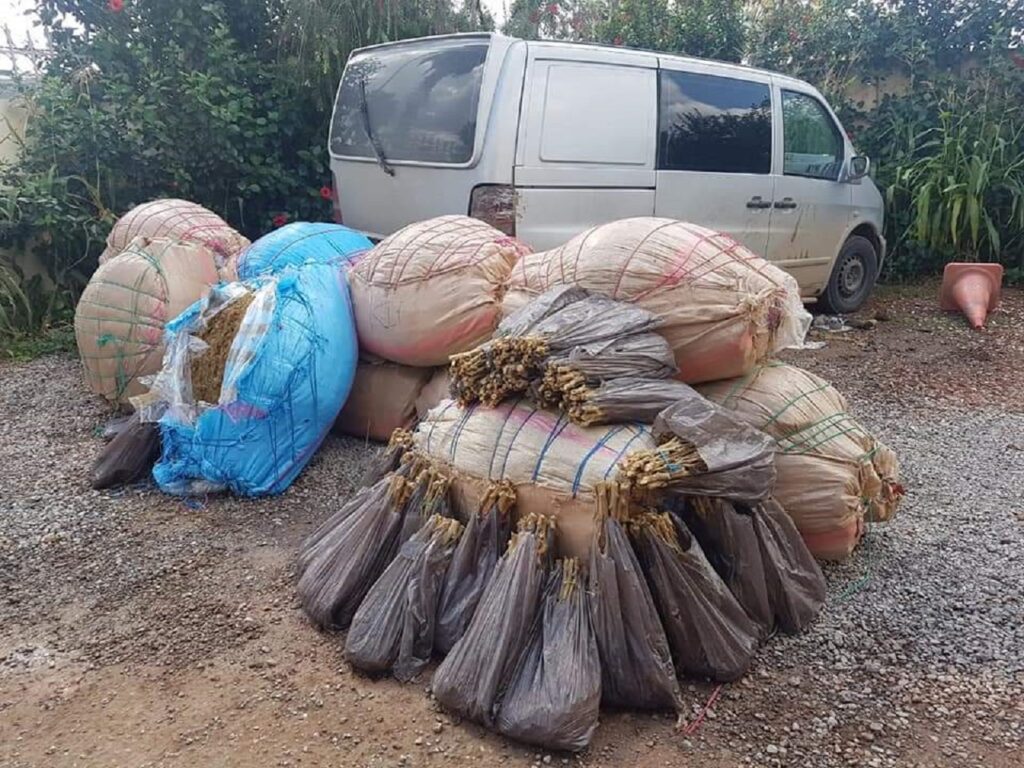 اشتوكة أيت باها: مطاردة هوليودية تنتهي بحجز ربع طن من الكيف وتوقيف السائق