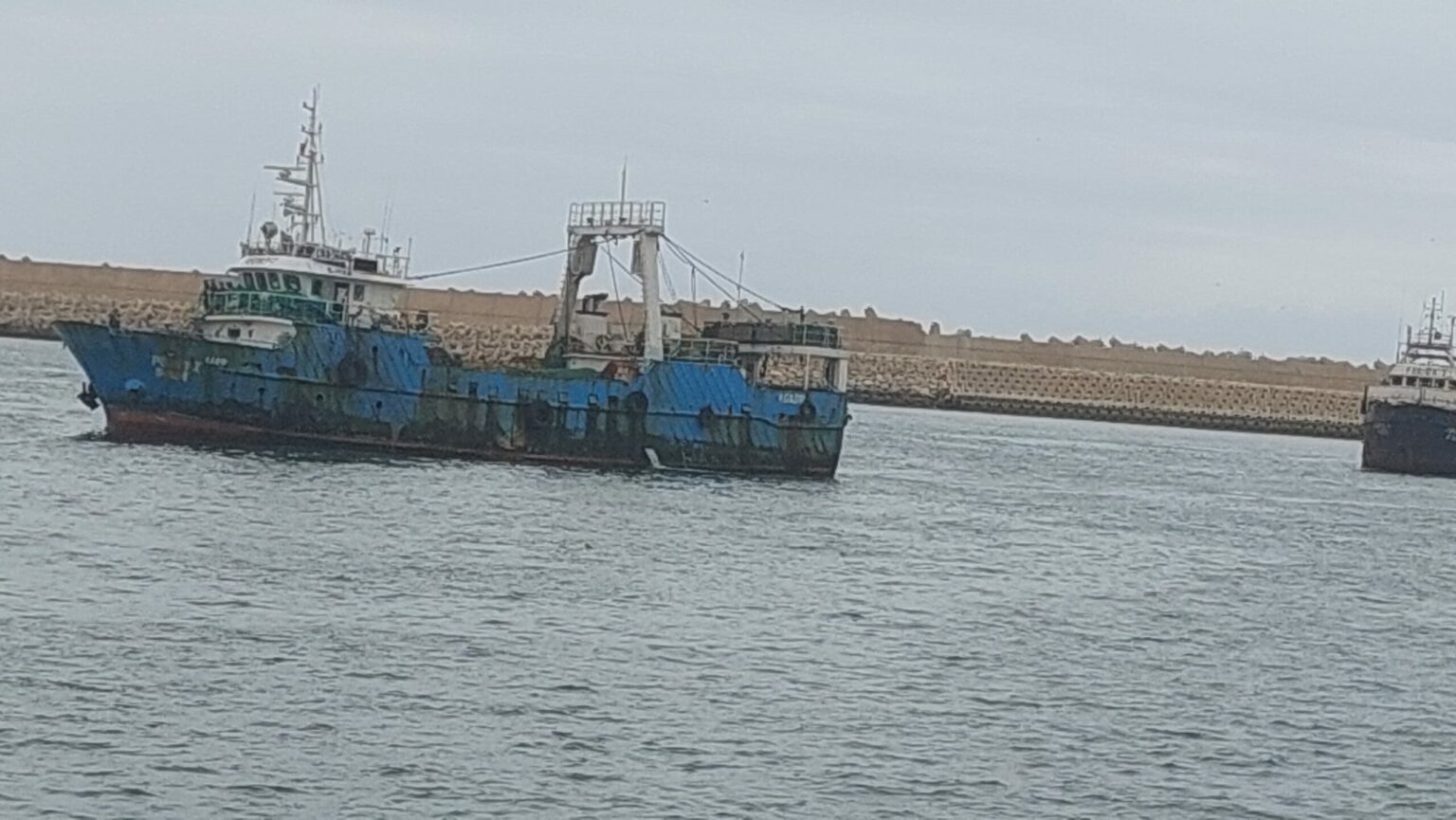 أرباب سفن الصيد الصناعي بالمغرب ينفون اتهامات استنزاف الثروة السمكية، ويؤكدون احترام القوانين