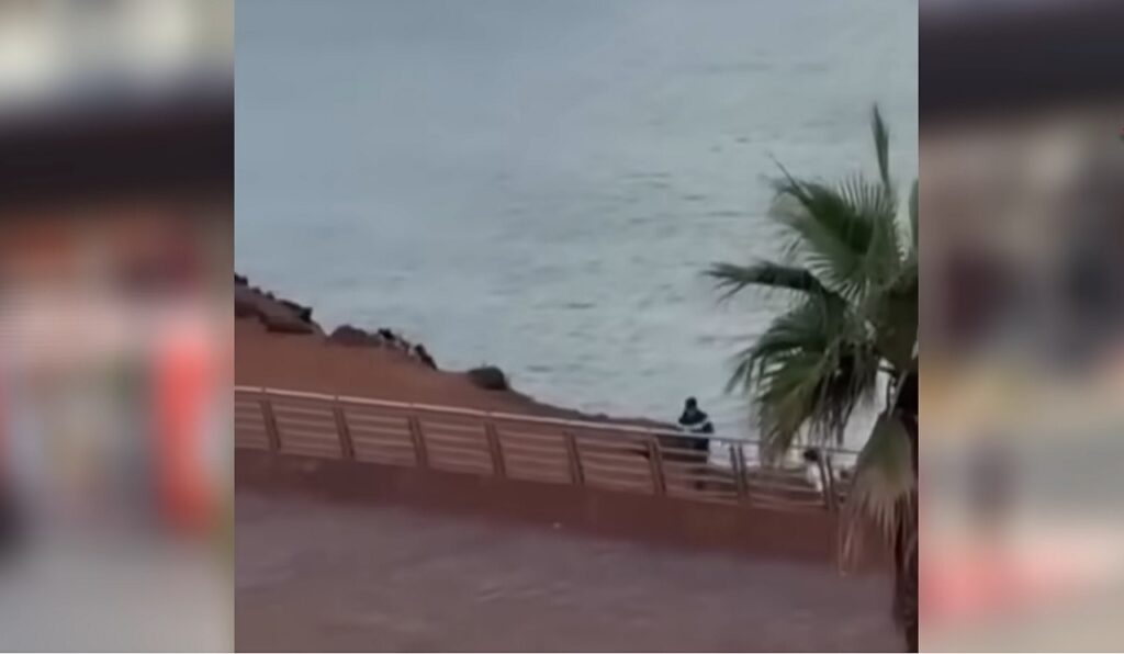 توضيح من أمن آسفي: حقيقة فيديو “السرقة” المُتداول على فيسبوك