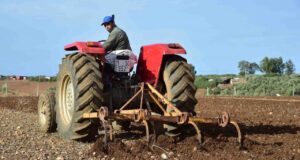 حالة من التوجس تسبق انطلاق الموسم الفلاحي الجديد، ومزارعون يأملون في تدخل الوزارة الوصية