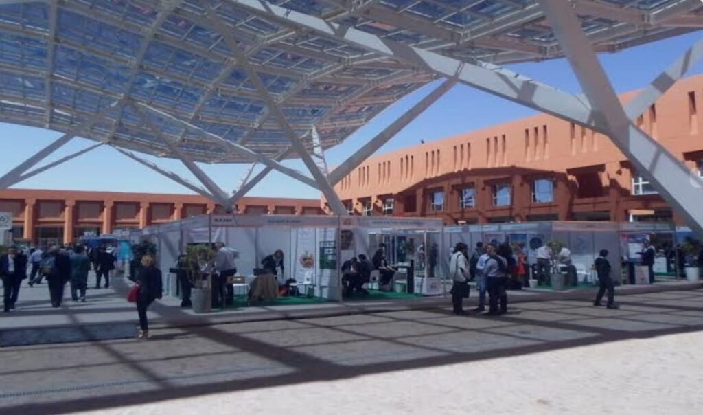 جامعة محمد السادس: هندسة مغربية للمعرفة من أجل إفريقيا