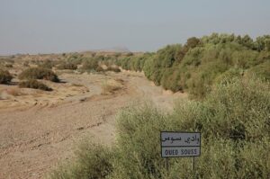 توقيف مشتبه بهما وحجز كمية ضخمة من المخدرات قرب واد سوس