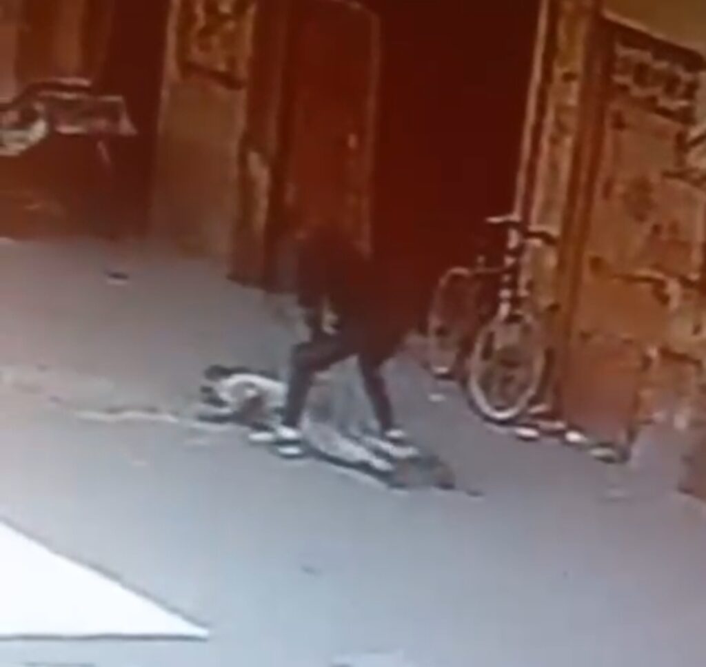 توقيف قاتل والده بتارودانت بعد مطاردة أمنية مكثفة