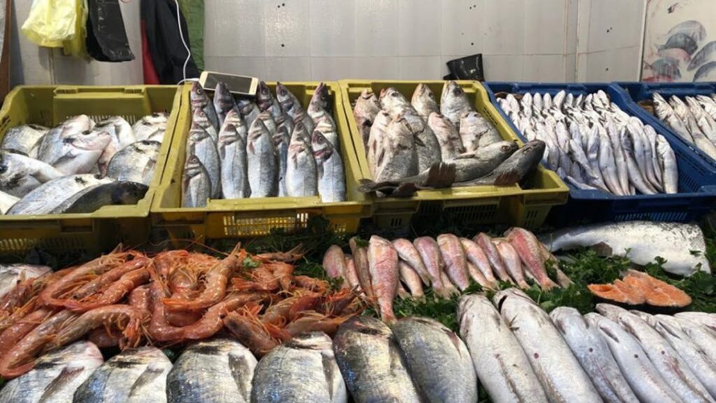 تجار السمك بالمغرب يطالبون بوقف “الصناديق البلاستيكية الموحدة” وإنهاء الاحتكار