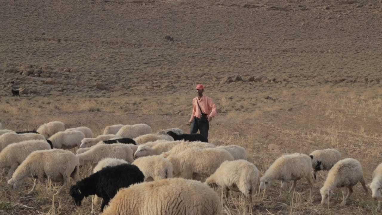 الغموض يلف اختفاء راعي غنم بجبال ورزازات منذ ثلاثة أيام