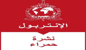أمن مطار محمد الخامس يوقِف فرنسياً من أصول جزائرية مطلوباً دولياً بتهم تتعلق بمواد متفجرة