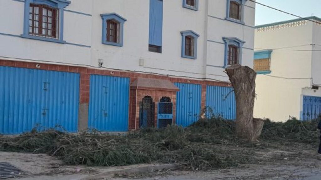غضب بيئي في أورير بعد اجتثاث أشجار الطريق الإقليمية 1001، والسكان يطالبون بتوضيحات عاجلة