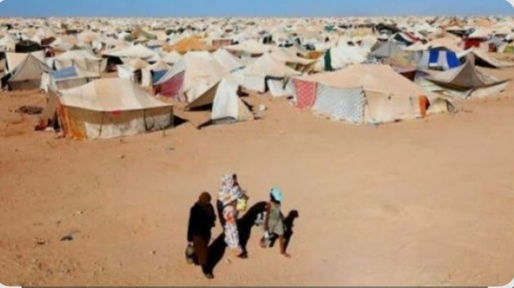 هجوم تندوف.. حين يتحول احتضان الجزائر للبوليساريو إلى خطر يهدد أمن المنطقة والعالم