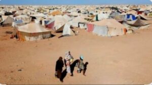 هجوم تندوف.. حين يتحول احتضان الجزائر للبوليساريو إلى خطر يهدد أمن المنطقة والعالم