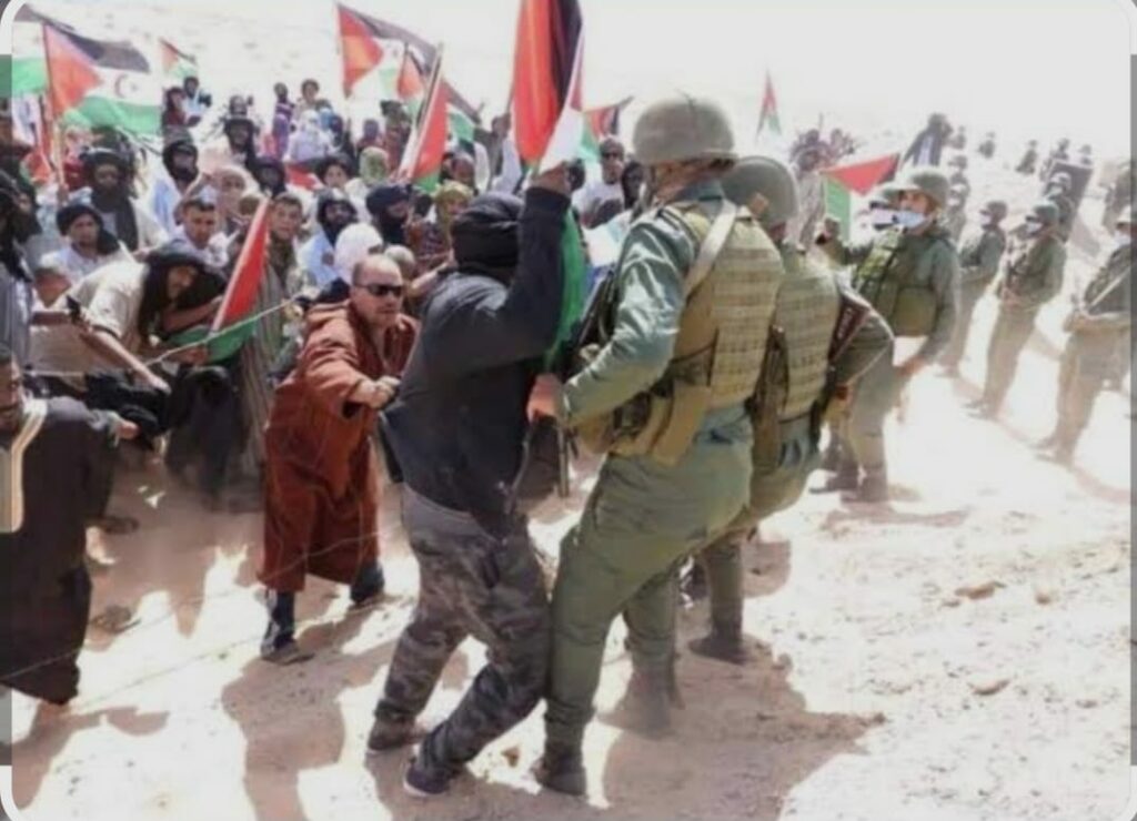 “فكها يا من وحلتها”.. حين غرق النظام الجزائري في مستنقع تندوف