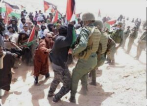 “فكها يا من وحلتها”.. حين غرق النظام الجزائري في مستنقع تندوف