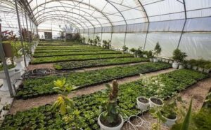 حماة المستهلك يحذرون من فوضى المشاتل الغير المرخصة في المغرب